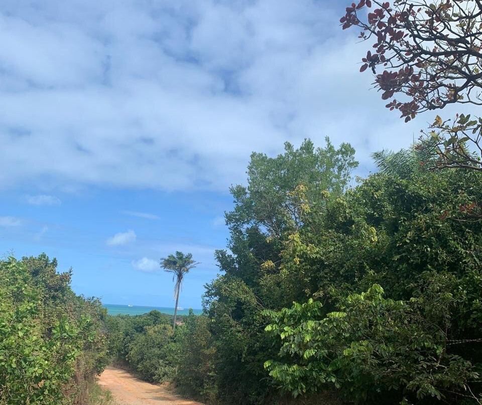 Praia de Calhetas-Cabo de Santo Agostinho必去景点