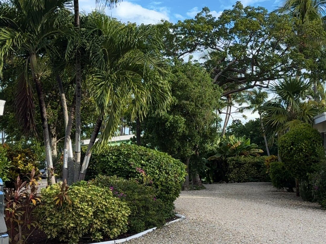 Kon-Tiki Resort主图