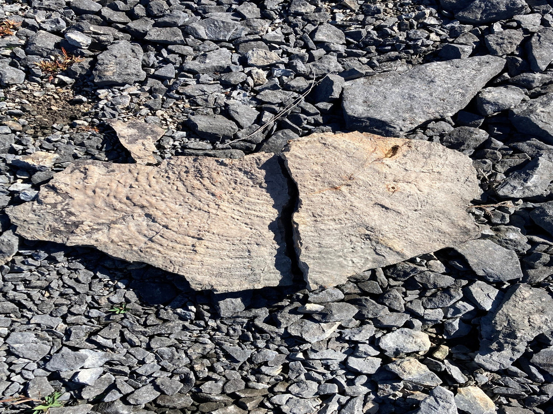 Rockport State Park-Alpena必去景点