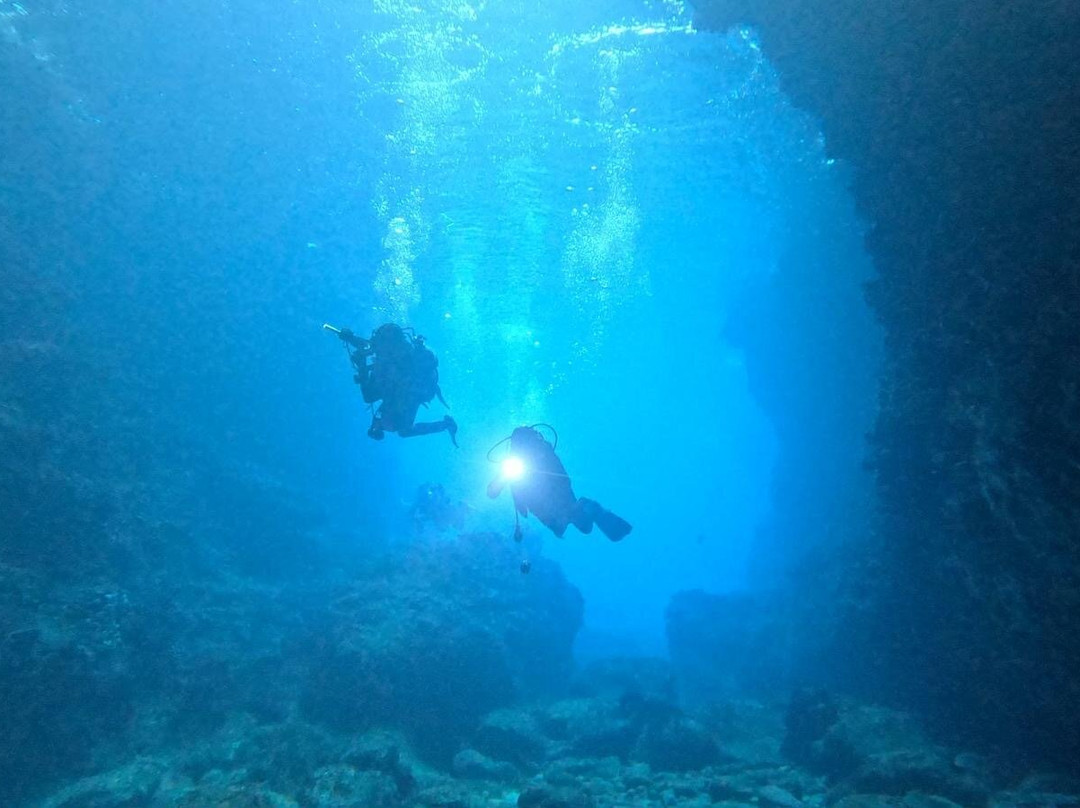 Port D' Andratx-Port d'Andratx必去景点