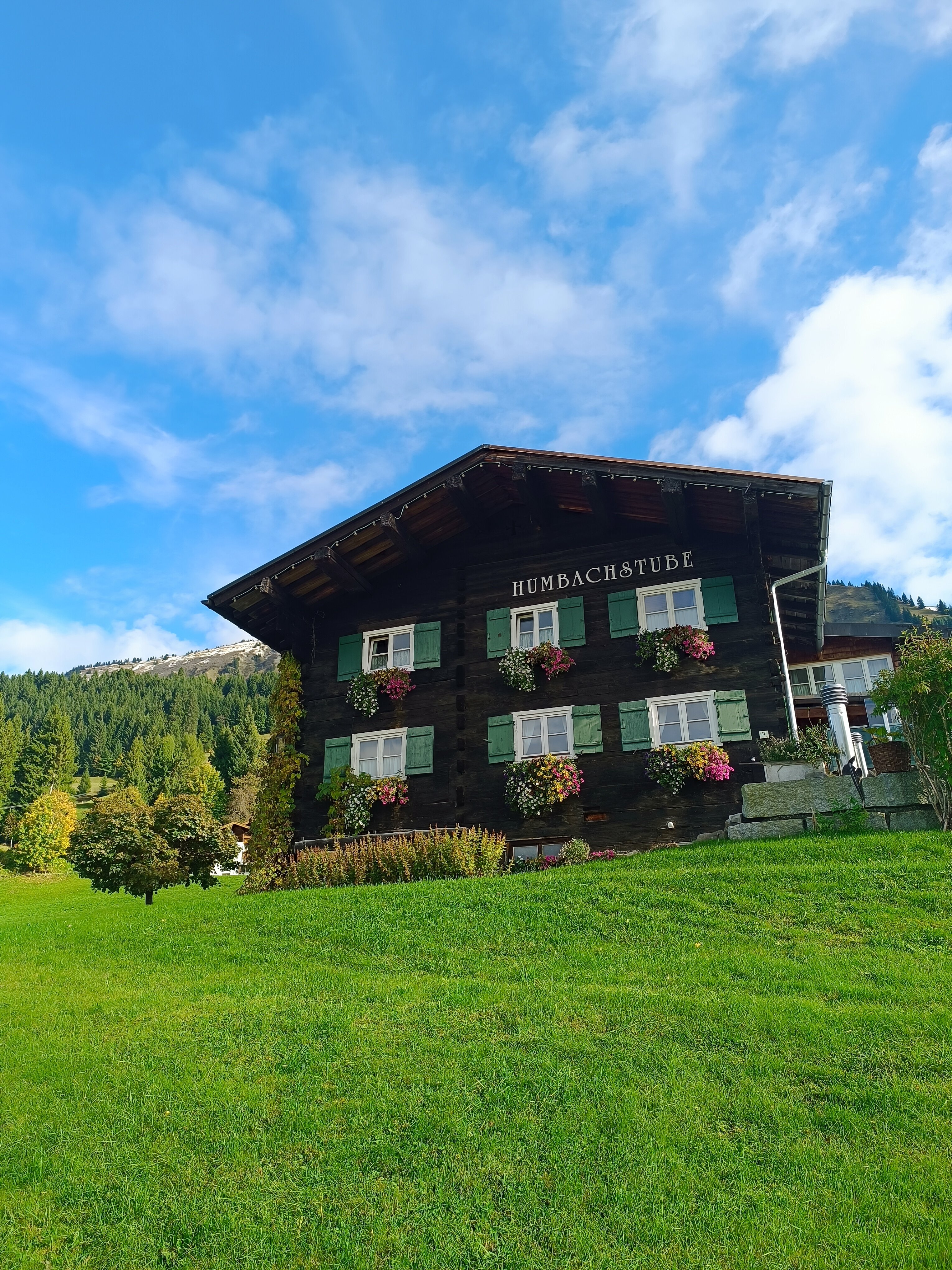 Hotel Alpenhof Jaeger-官方