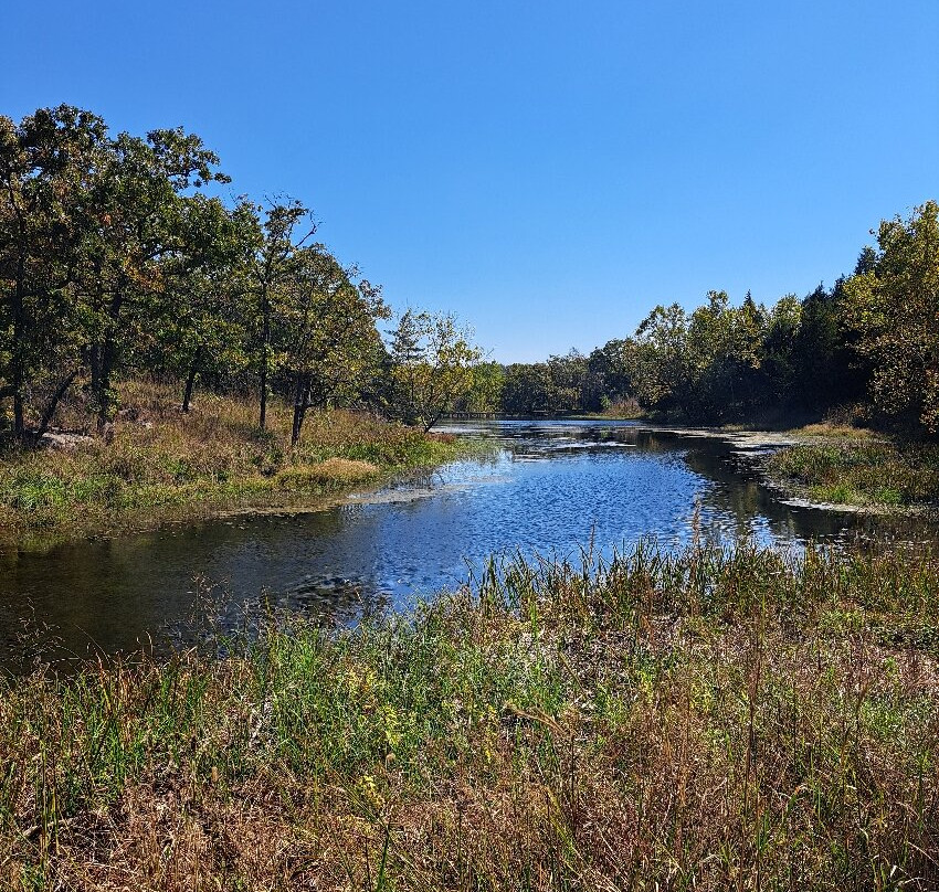Woolaroc Museum & Wildlife Preserve-巴特尔斯维尔必去景点