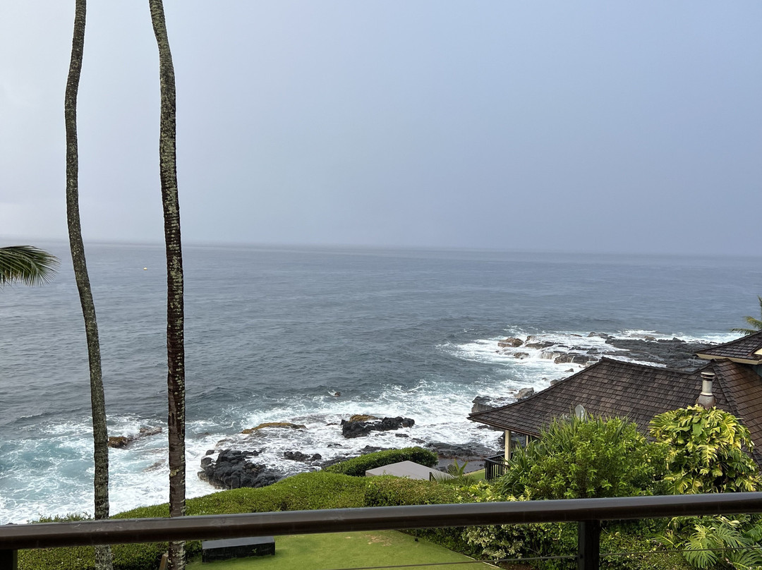 Whalers Cove Oceanfront Resort主图