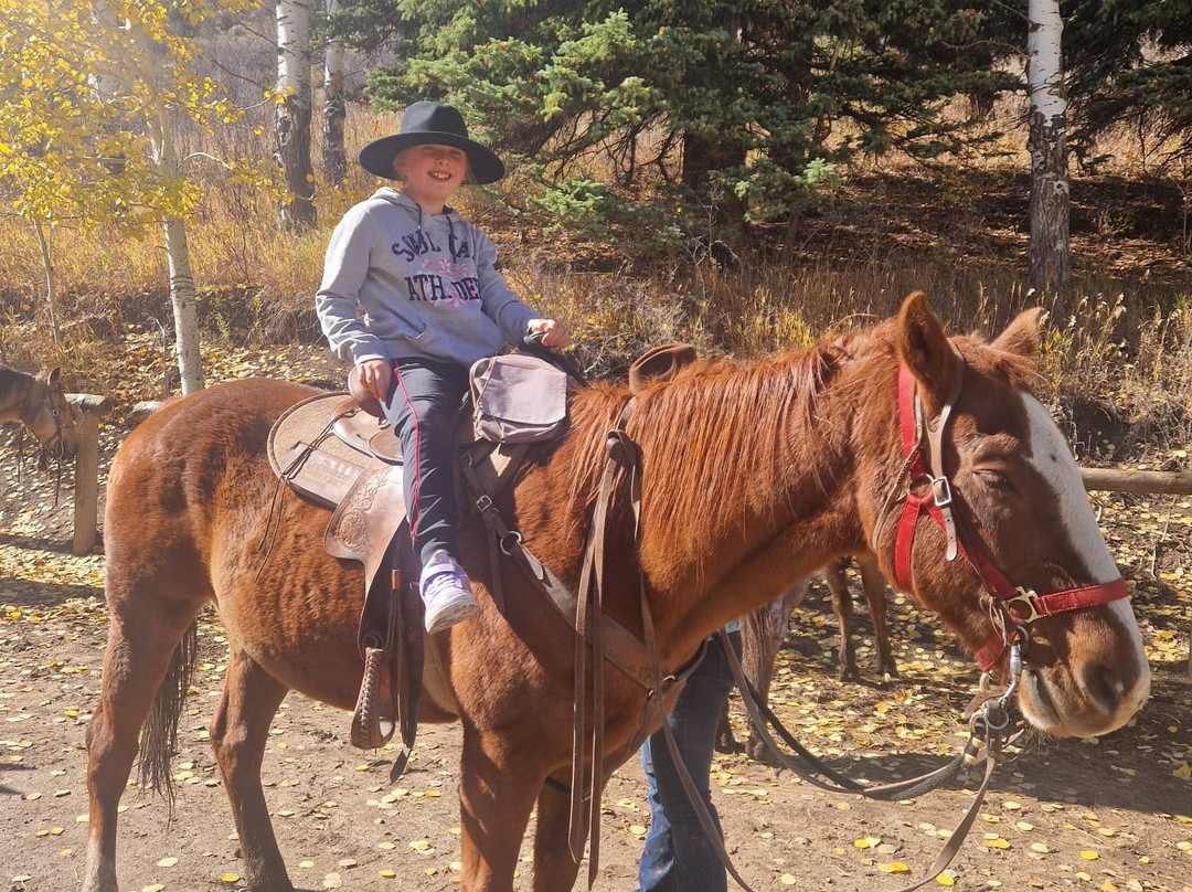 Bearcat Stables-Edwards必去景点