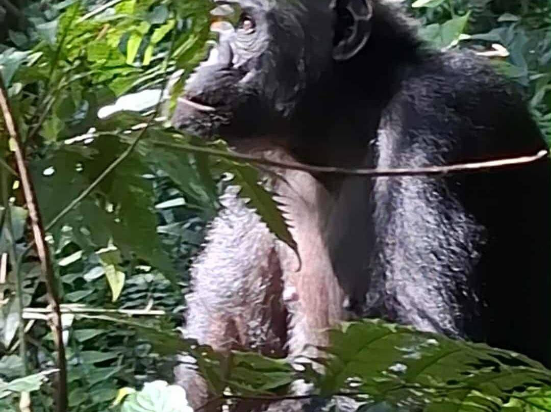 Evergreen Escape Expeditions - Africa-南由基必去景点