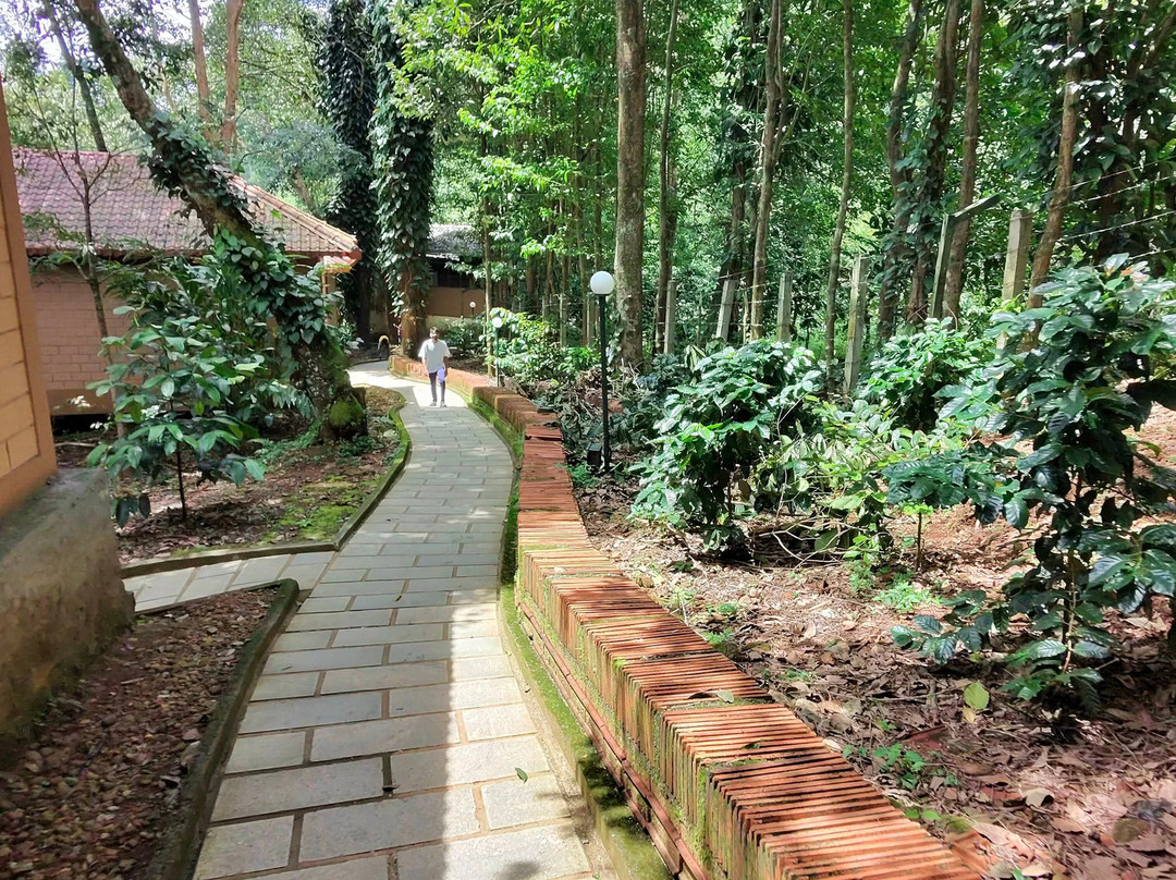 Sterling Vythiri Wayanad主图