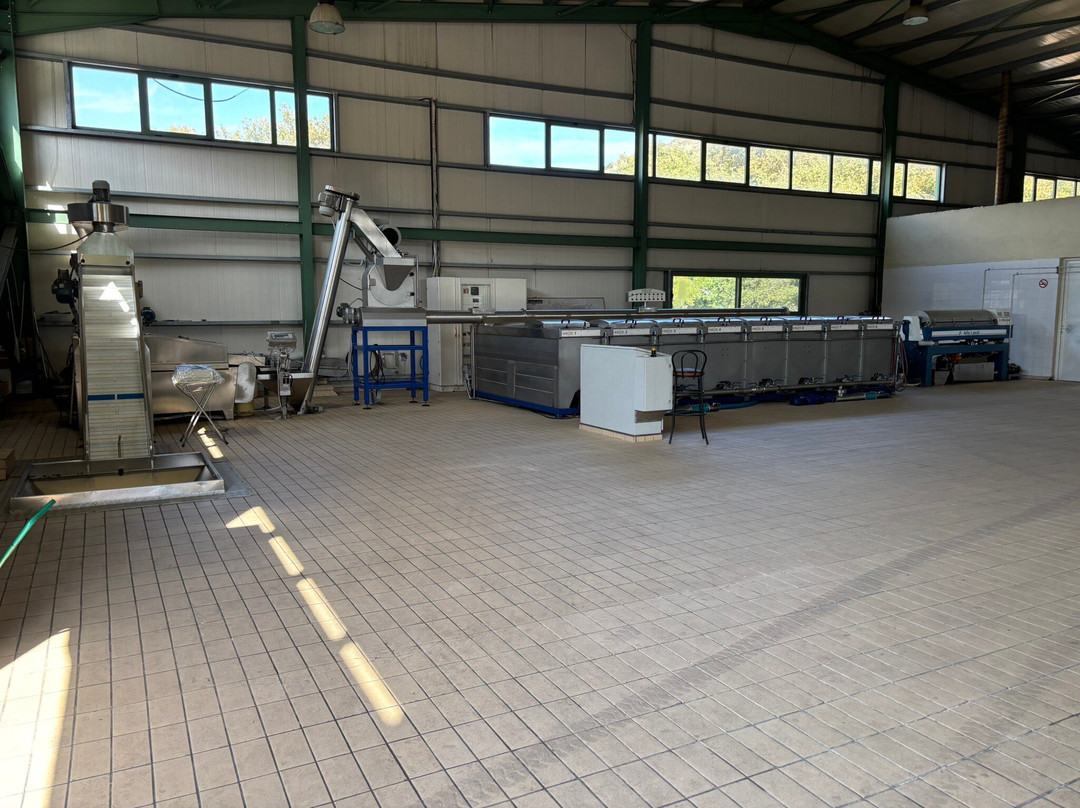 Kanakis Olive Mill