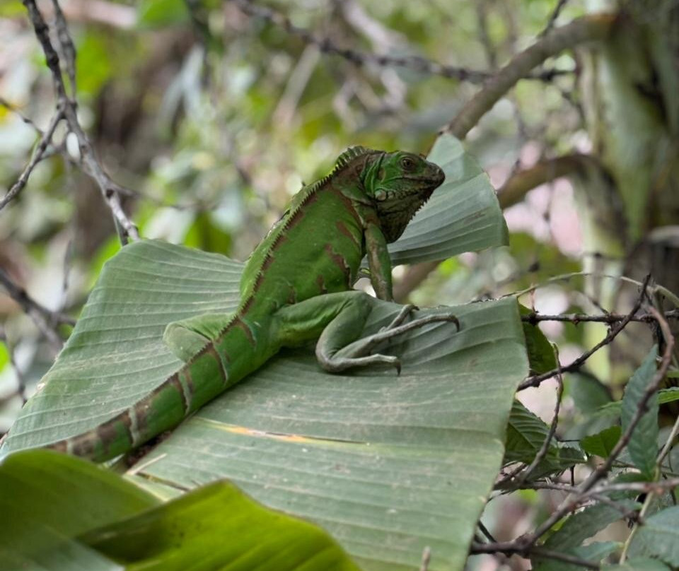 Buriti Adventure-Ponte Alta do Tocantins必去景点