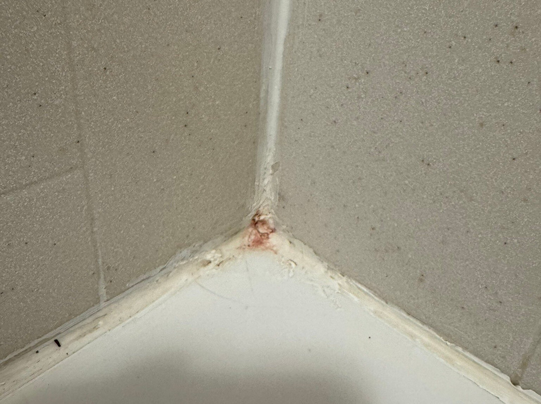 Hampton Inn & Suites Big Spring主图