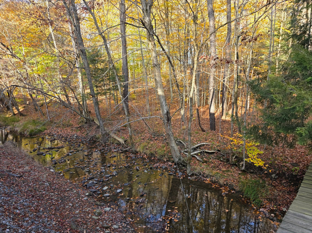 Arcade and Attica Railroad-Arcade必去景点