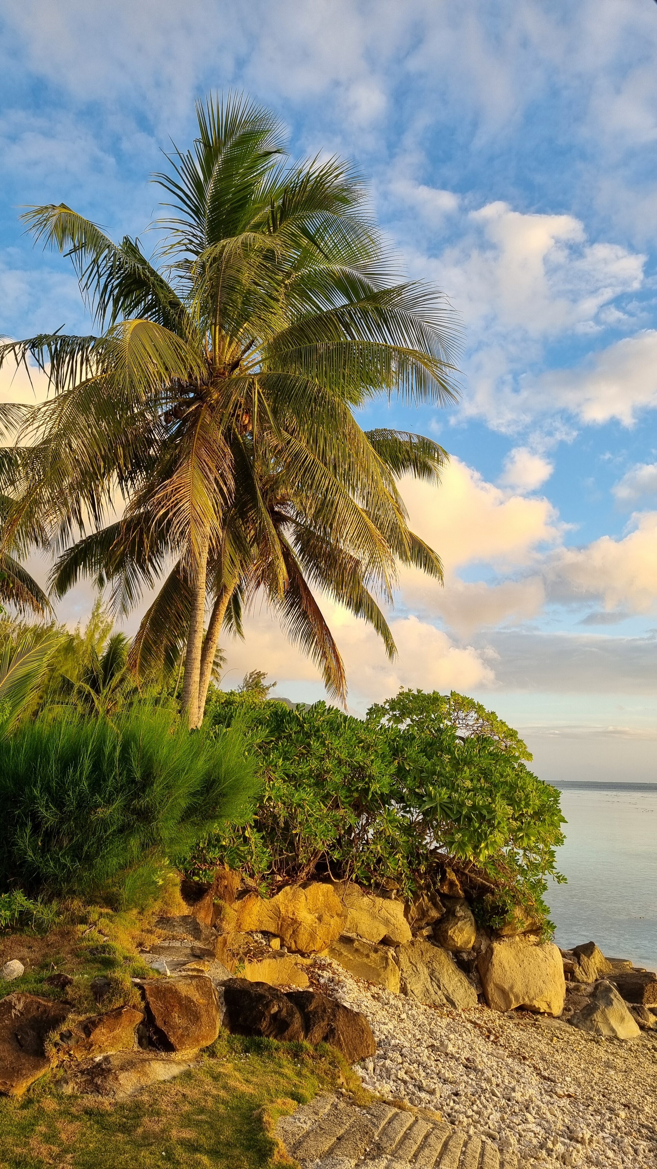 Rande's Shack-官方