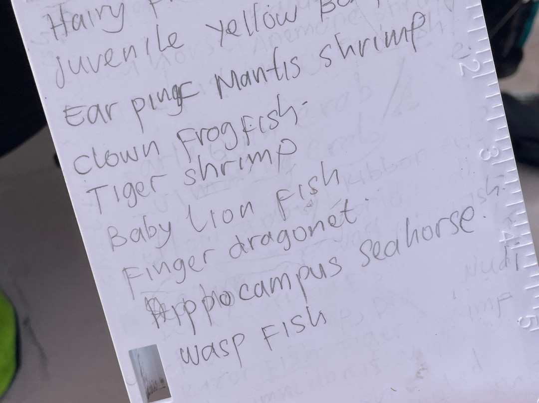 黑沙潜水疗养酒店主图