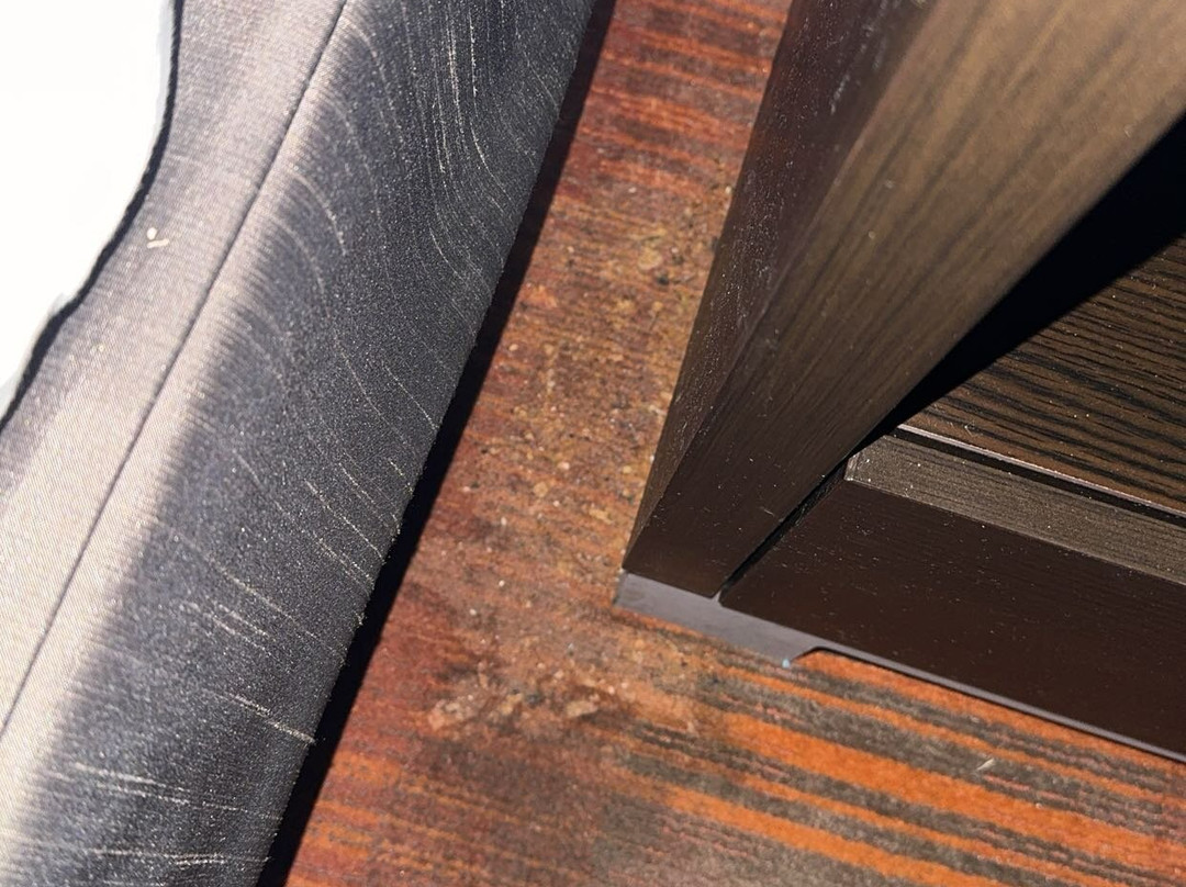 Quality Inn & Suites主图