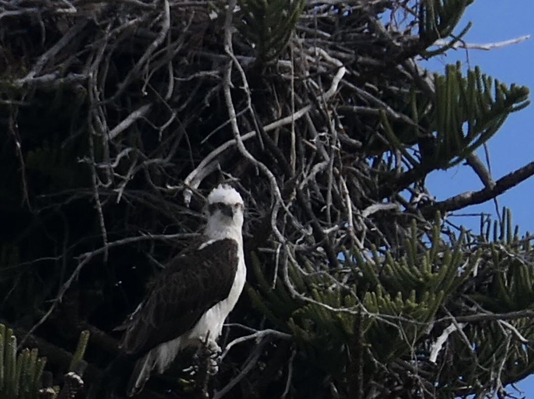 Augusta River tours-奥古斯塔必去景点
