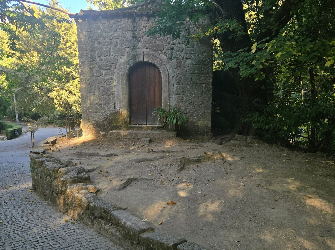 Parque do Fontelo-维塞乌必去景点