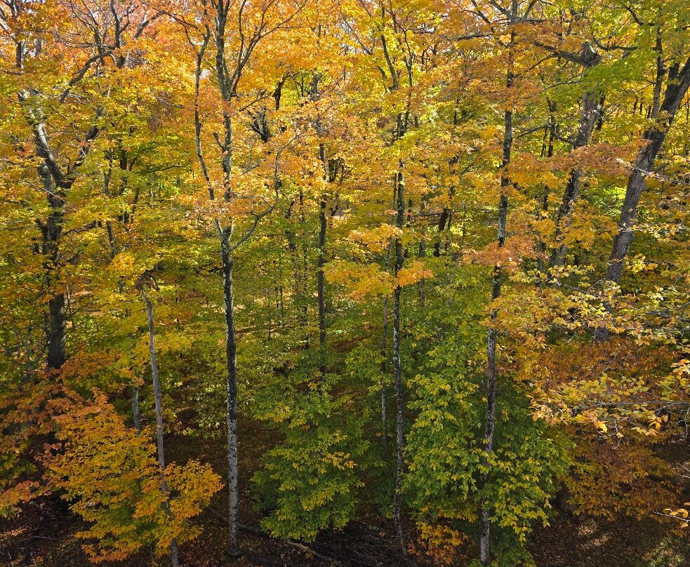 Peninsula State Park-Fish Creek必去景点