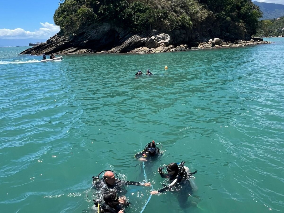 Narwhal-伊利亚贝拉必去景点