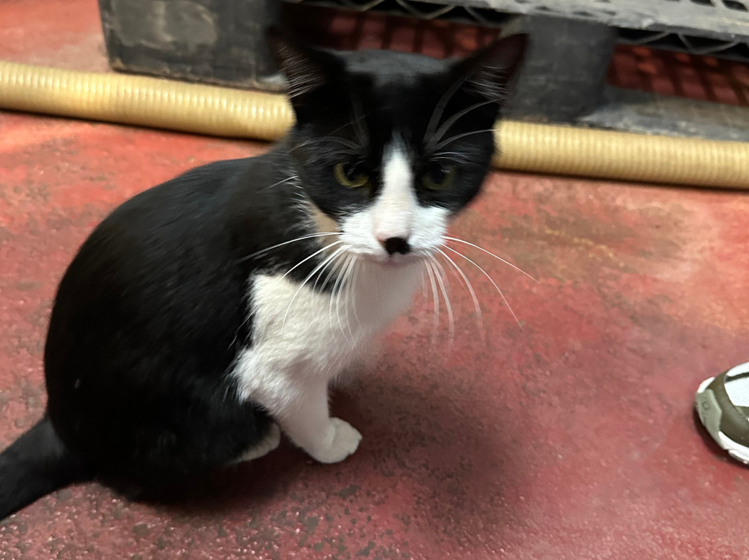 Quinta da Plansel-Montemor-o-Novo必去景点