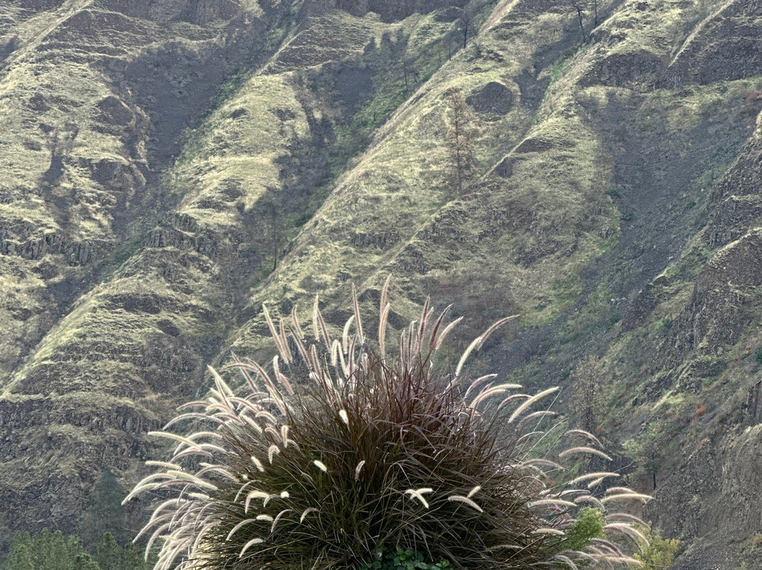 Twisted Vine Wine Tours, LLC-刘易斯顿必去景点