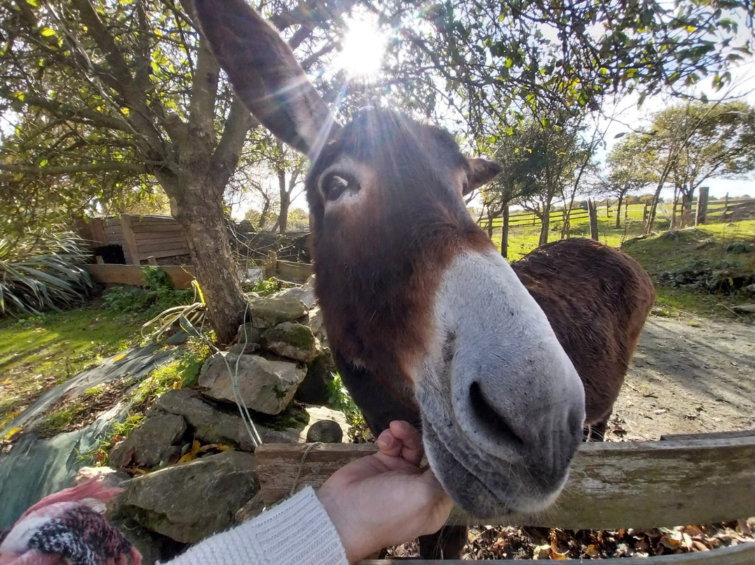La Ferme Extraordinaire-Donges必去景点