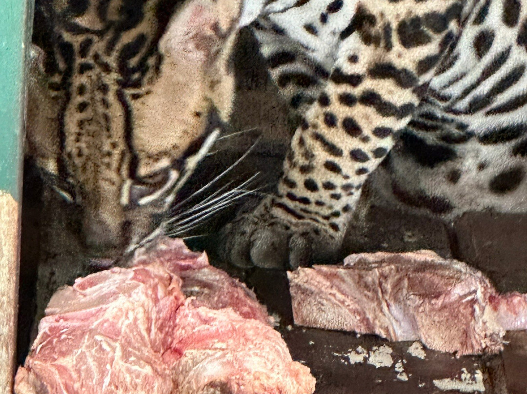 Guyana Zoological Park-乔治城必去景点