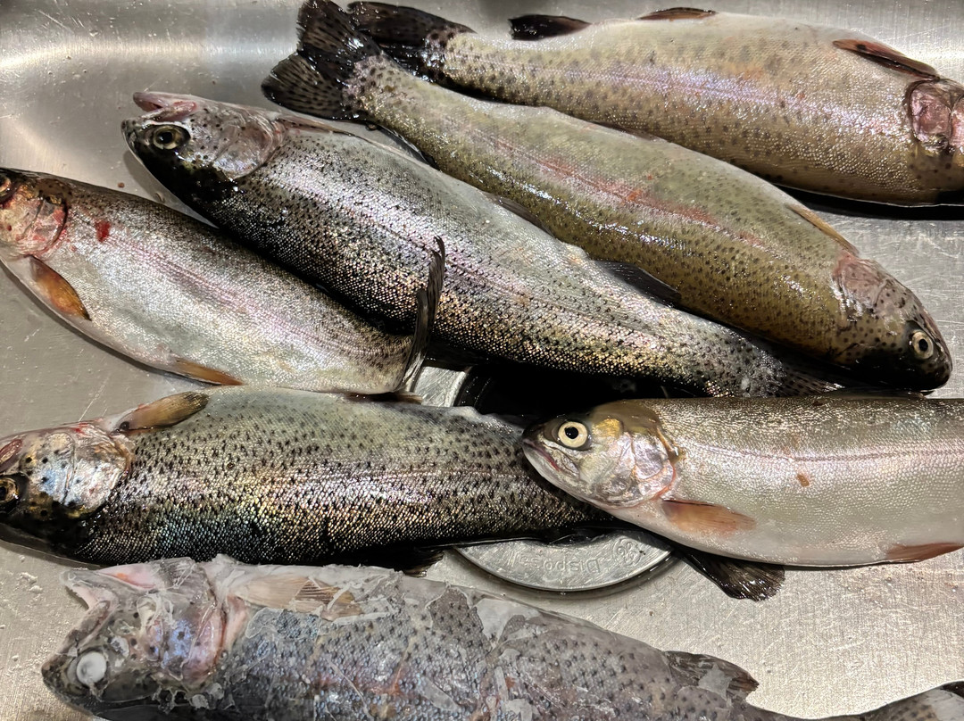 John Sappington's Branson Fishing Guide Service-布兰森必去景点