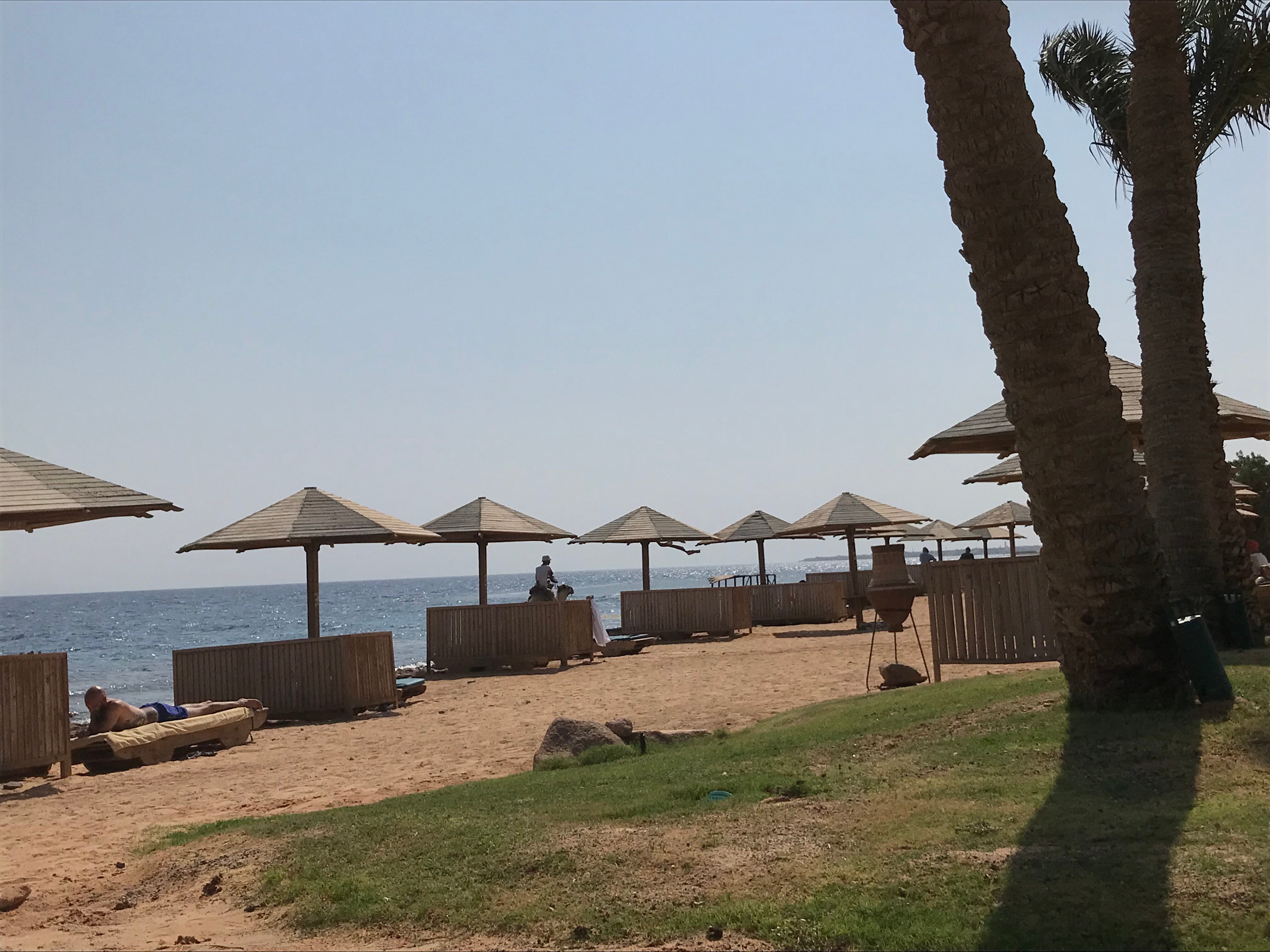 达哈布特罗皮泰绿洲度假村-官方