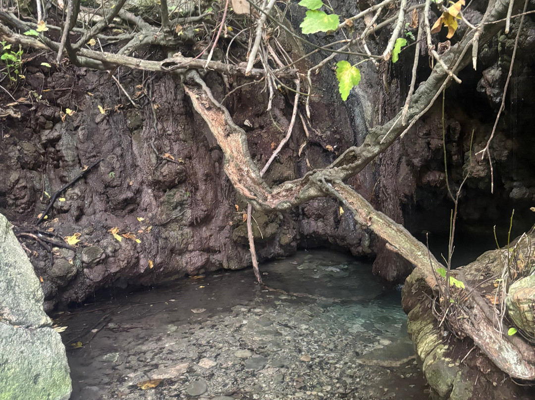 Chris Excursions-帕福斯必去景点