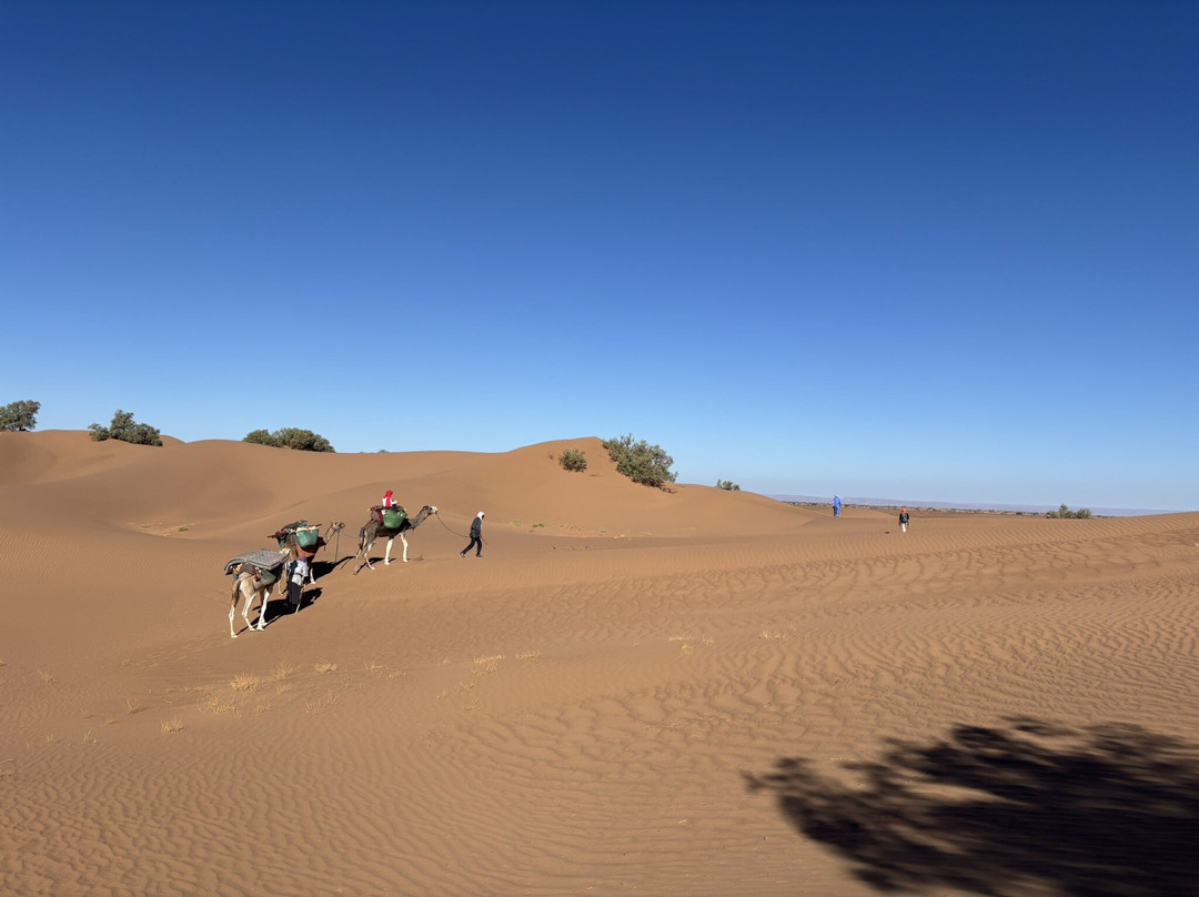 Loud Sahara Day Tours-扎古拉必去景点