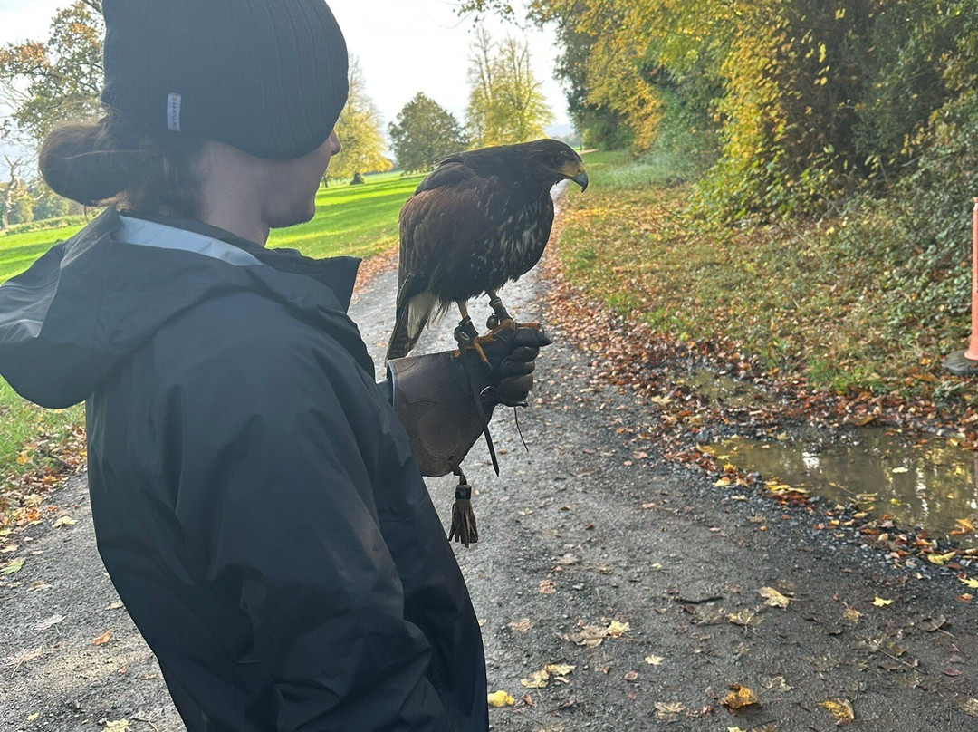 Dublin Falconry-Castleknock必去景点
