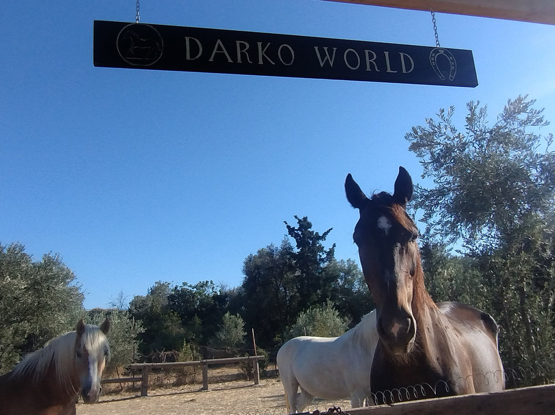 Darko World Horse Riding-Livanates必去景点