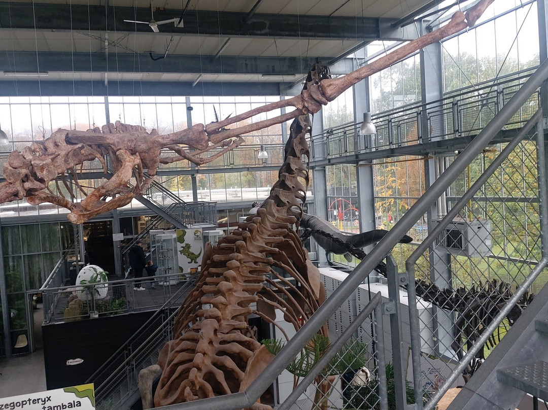 Het Oertijdmuseum-Boxtel必去景点