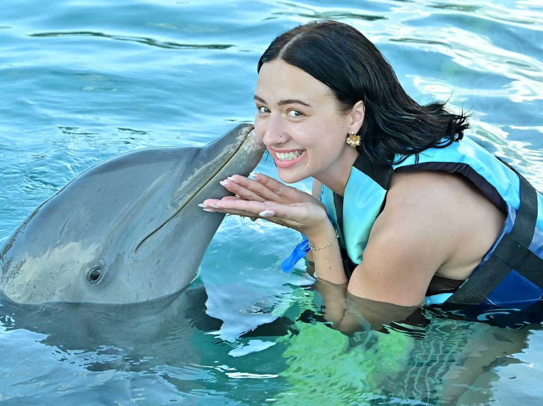 Dolphin Discovery Grand Cayman-西湾必去景点