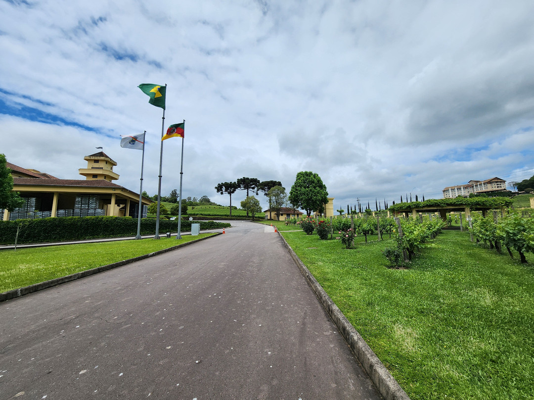 Miolo Wine Group-本图贡萨尔维斯必去景点