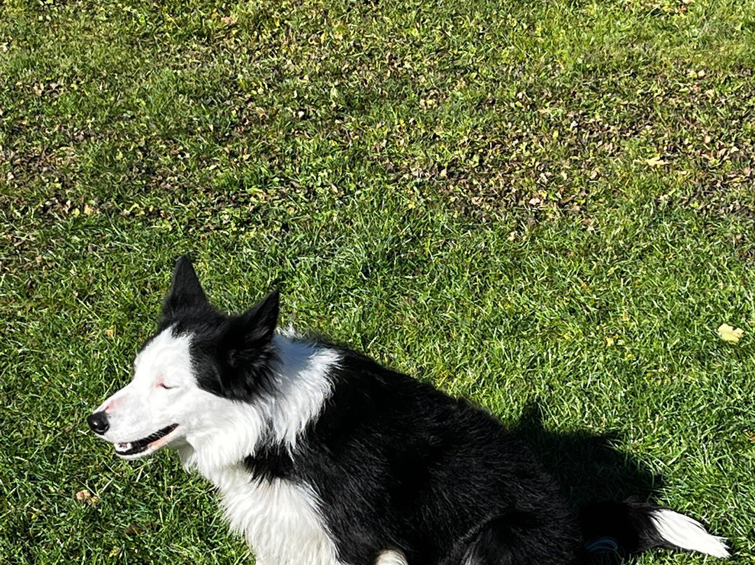 阿尔本小屋酒店主图