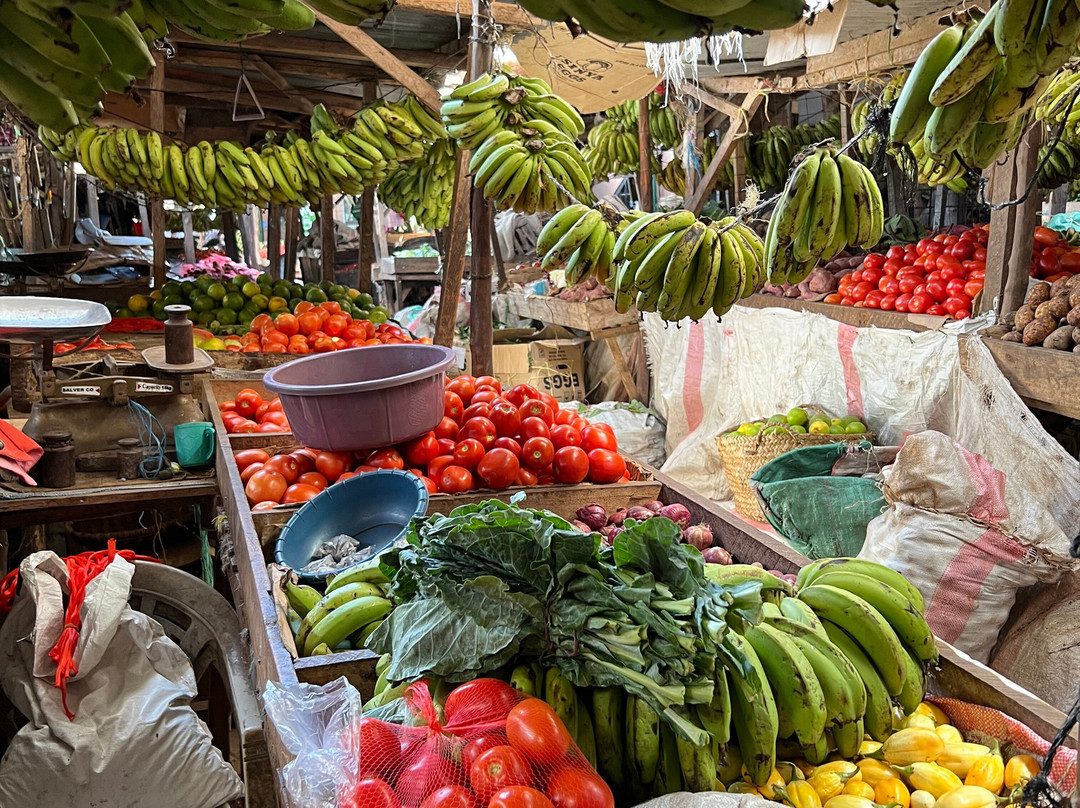 Safari Kenya roberto toba-瓦塔木必去景点