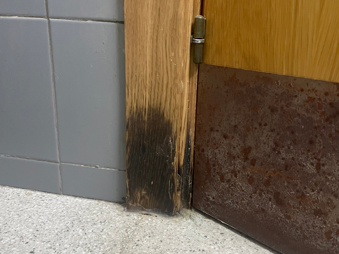 Hotel Montmelo主图