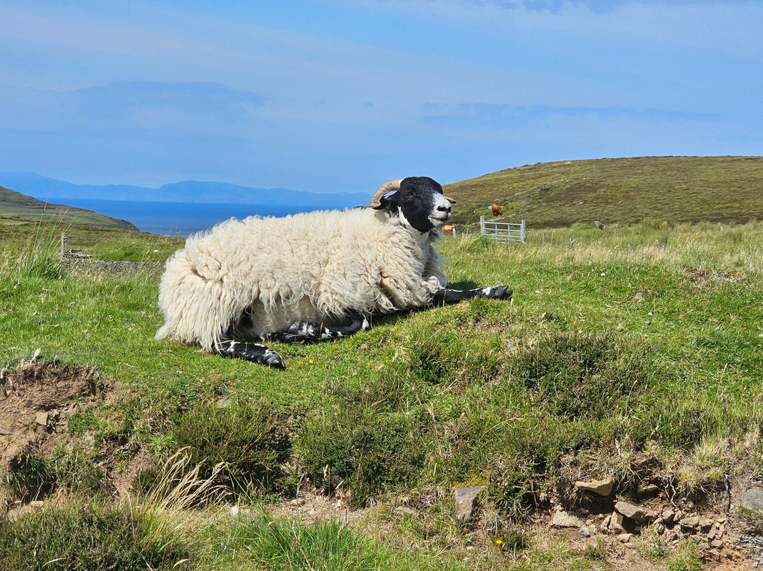 Lealt Falls-Portree必去景点