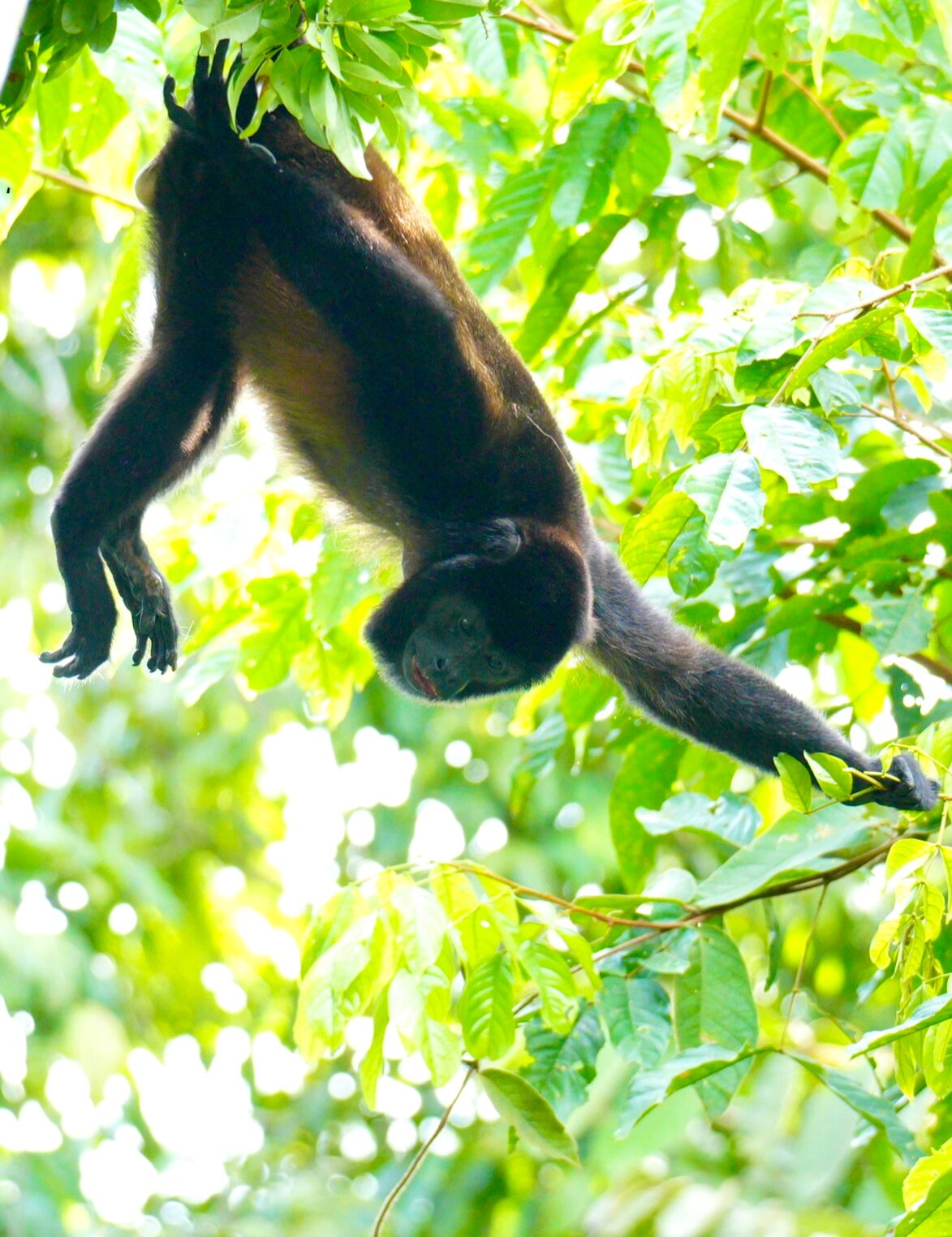 Rancho Pacifico-浴室