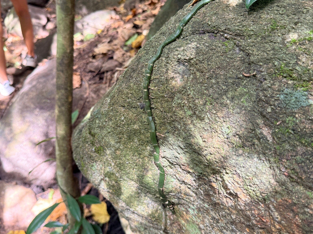 Chan Ta Then Waterfall