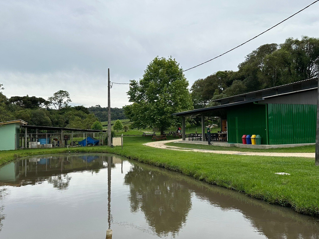 Chácara Kiwi da Serra-Balsa Nova必去景点