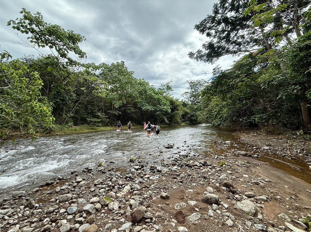 Pargos Adventures Day Tours-Playa Negra必去景点