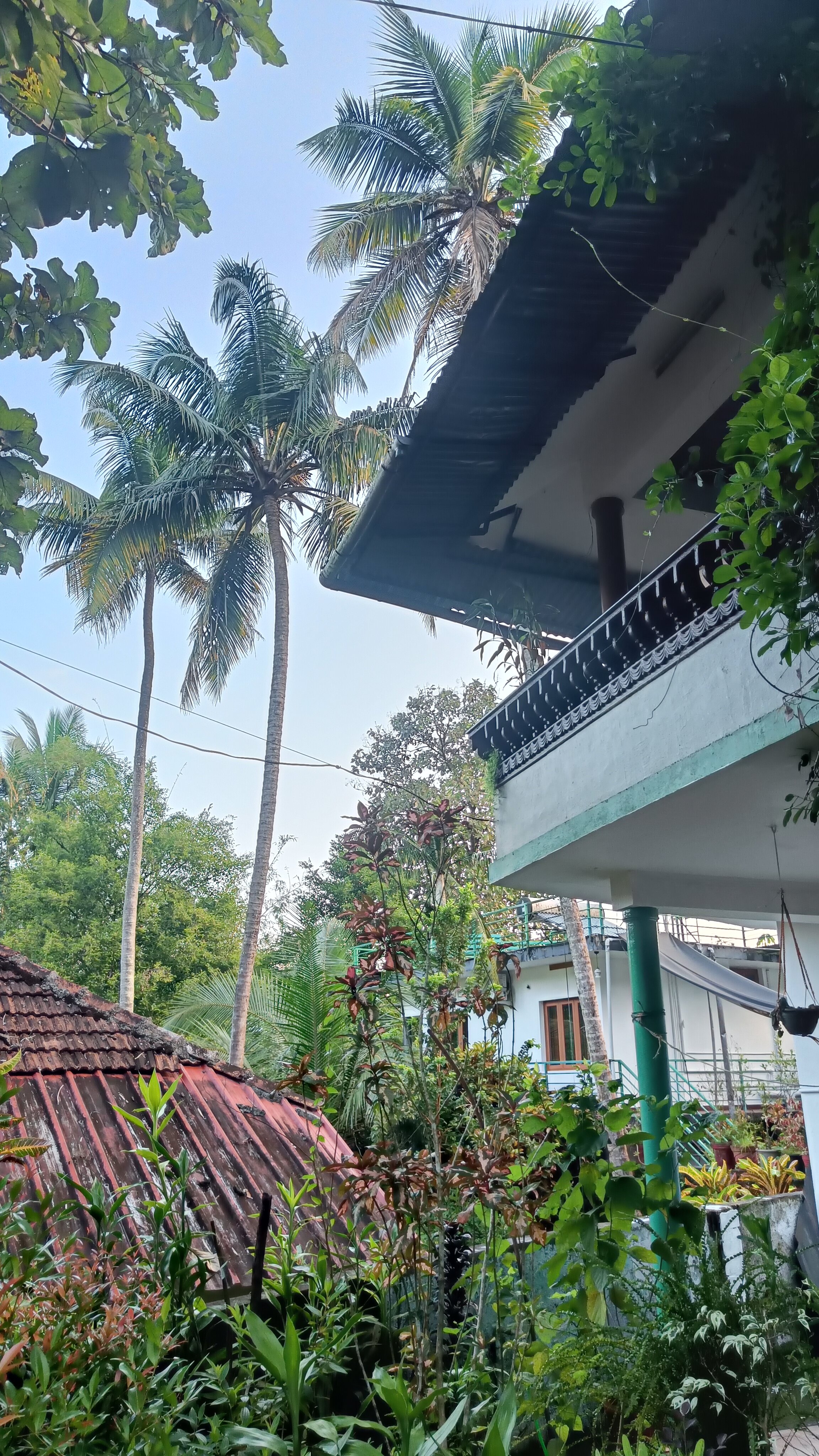 Jungle Bird Homestay-浴室