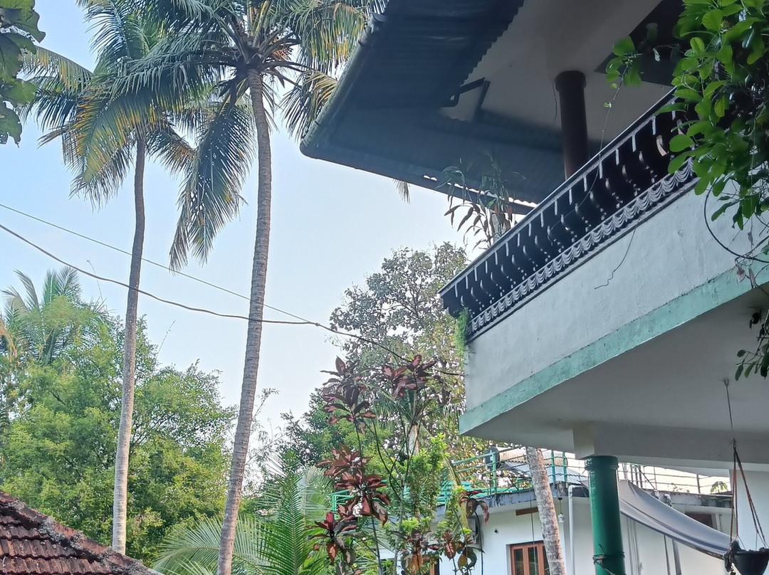 Jungle Bird Homestay主图