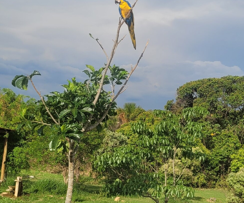 Chapada Imperial-Brazlandia必去景点