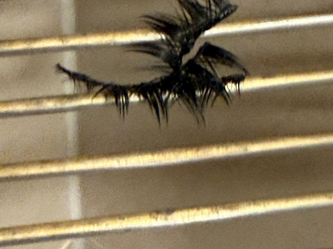 Hyatt Place Ontario Rancho Cucamonga主图