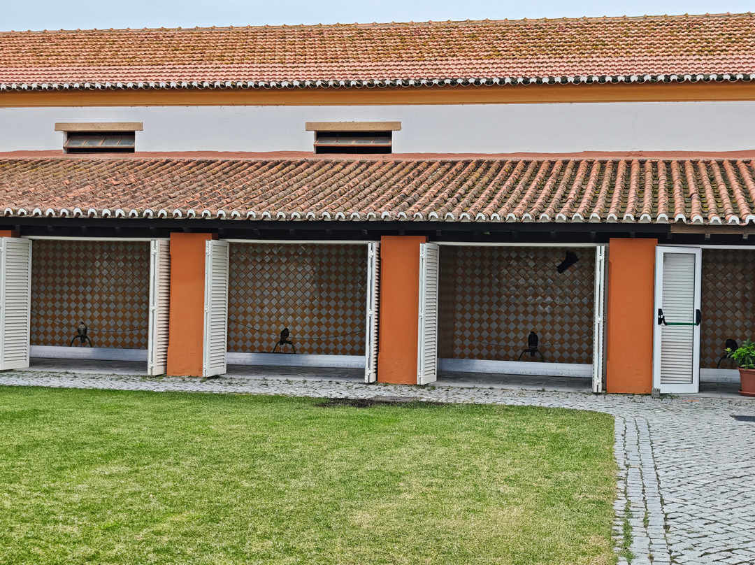 Vila Galé Collection Alter Real主图