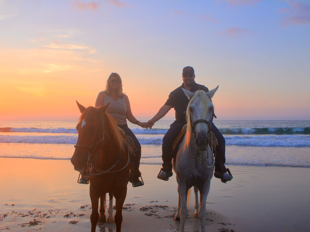 Vista Paraiso - Day Tours and Activities-Higuera Blanca必去景点