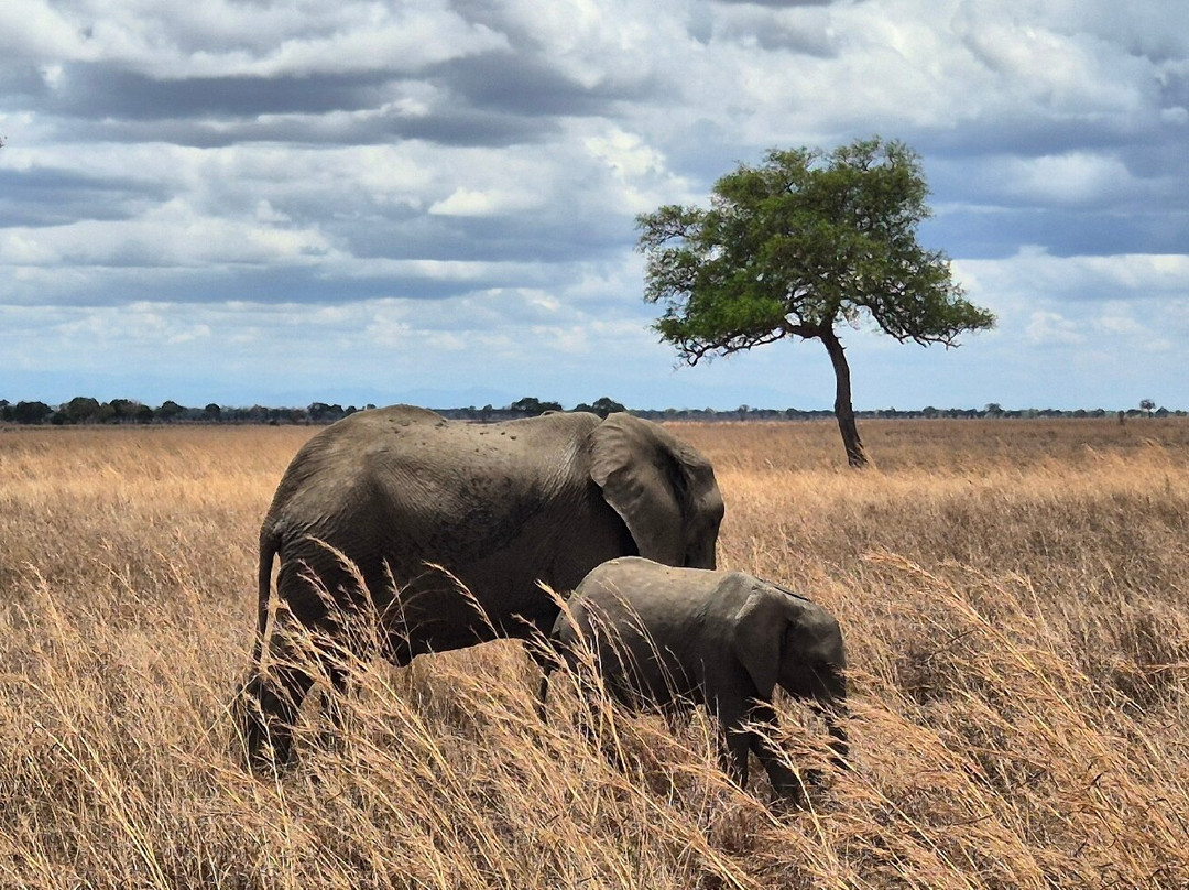 NICE ADVENTURE SAFARI-Dar es Salaam必去景点