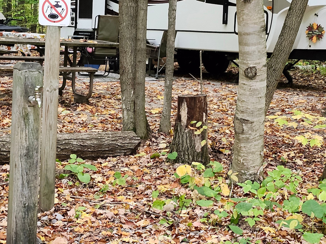 Awenda Provincial Park-Penetanguishene必去景点